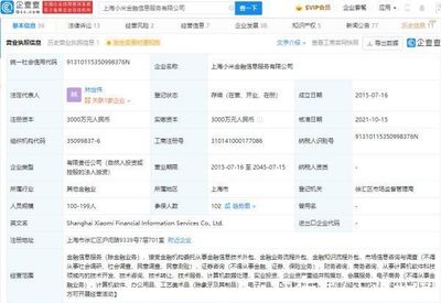 雷军退出小米金融董事 金融知识流程外包的战略调整