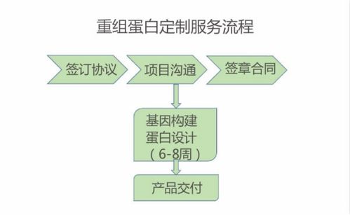 专注研发高价值蛋白产品，恺佧生物完成4000万元A轮融资